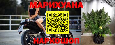 индика Бузулук