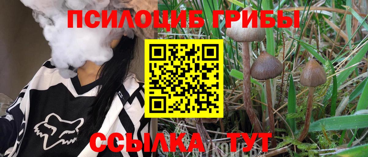 Галлюциногенные грибы ЛСД Комсомольск-на-Амуре
