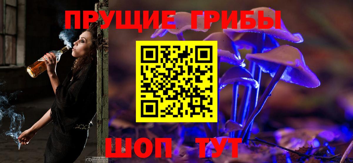 Комсомольск-на-Амуре  Галлюциногенные грибы мицелий  Вход с VPN 